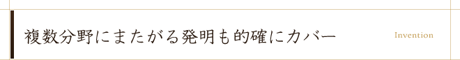 複数分野にまたがる発明も的確にカバー