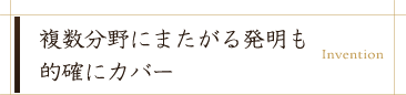 複数分野にまたがる発明も的確にカバー